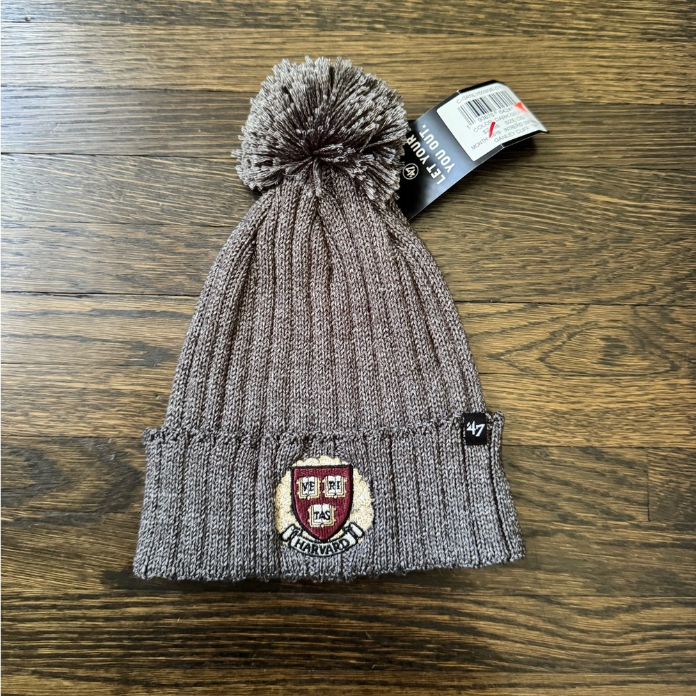 Dark gray Harvard beanie